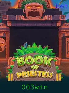 Explore o Fascinante Mundo de BookOfPriestess: Regras e Guia do Jogo